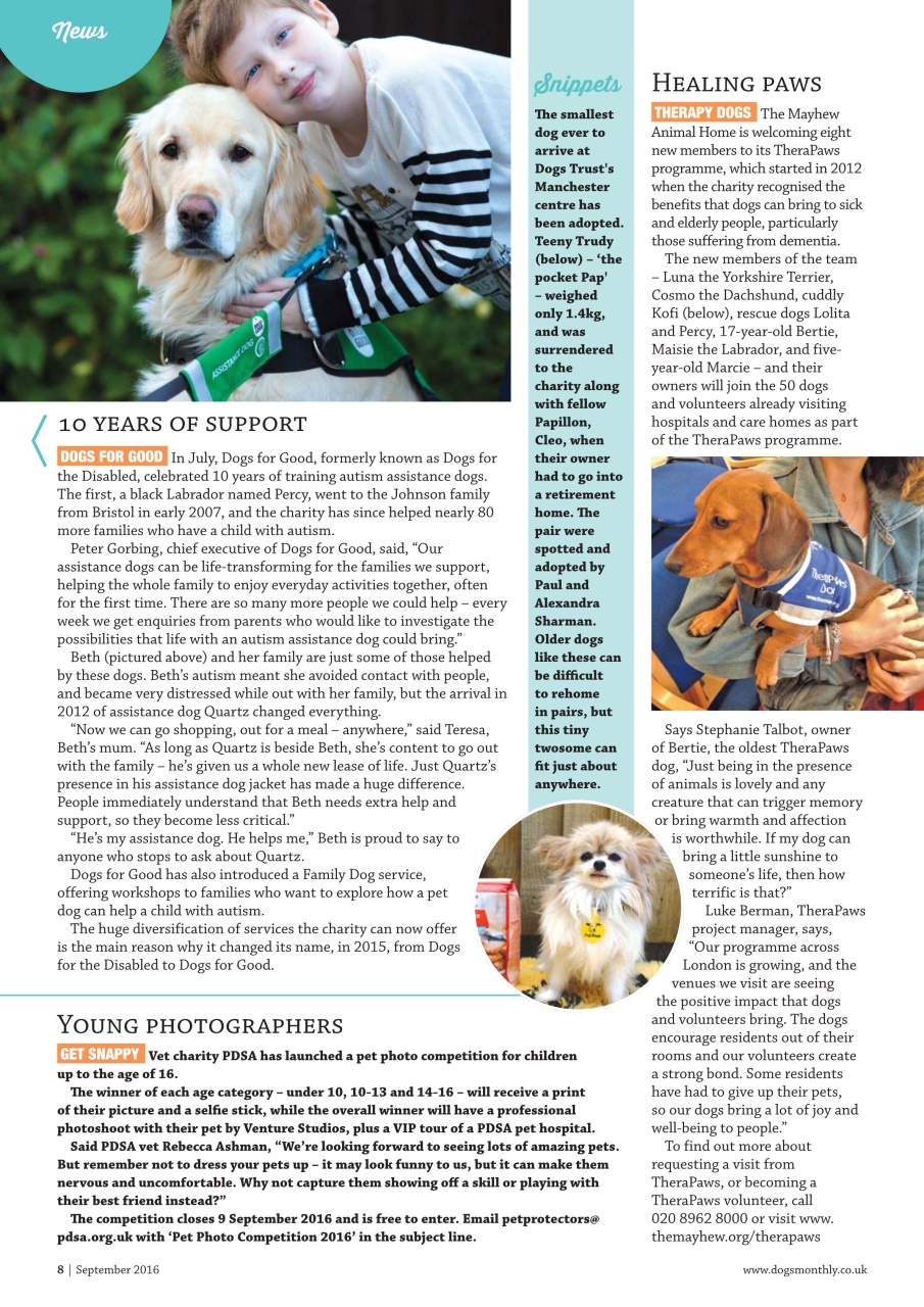 Dogs Monthly Preview Pages