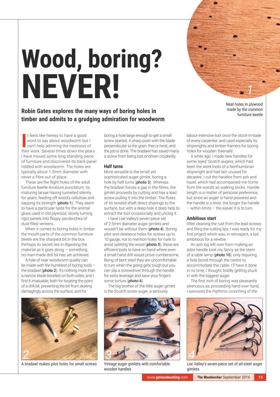 The Woodworker Magazine Preview Pages