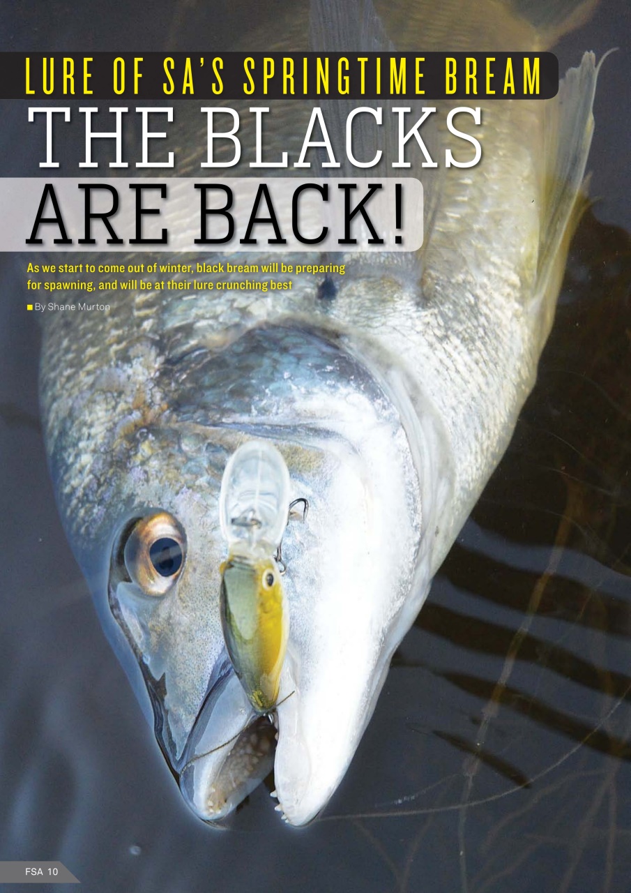 Fishing SA Preview Pages