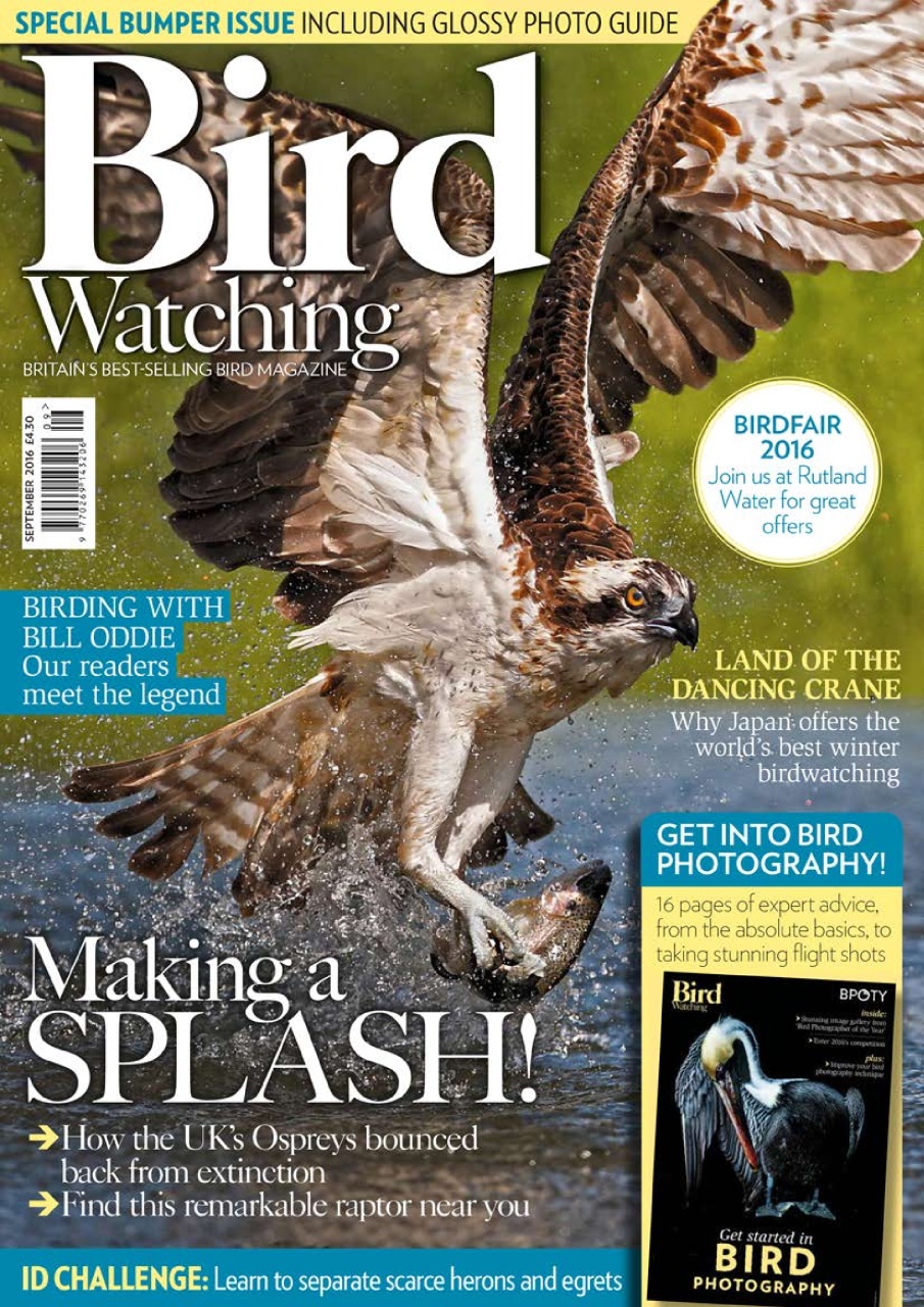 Bird Watching Preview Pages