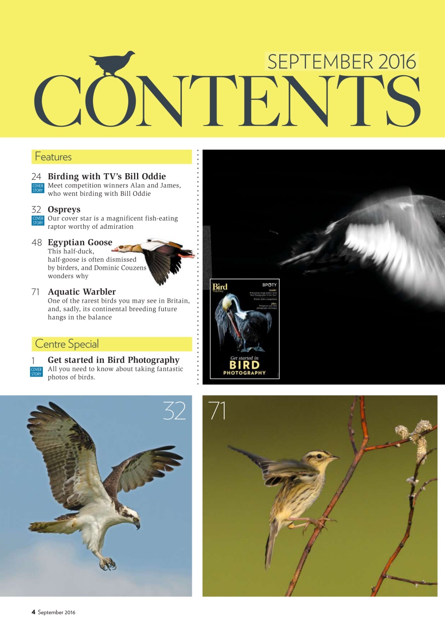 Bird Watching Preview Pages