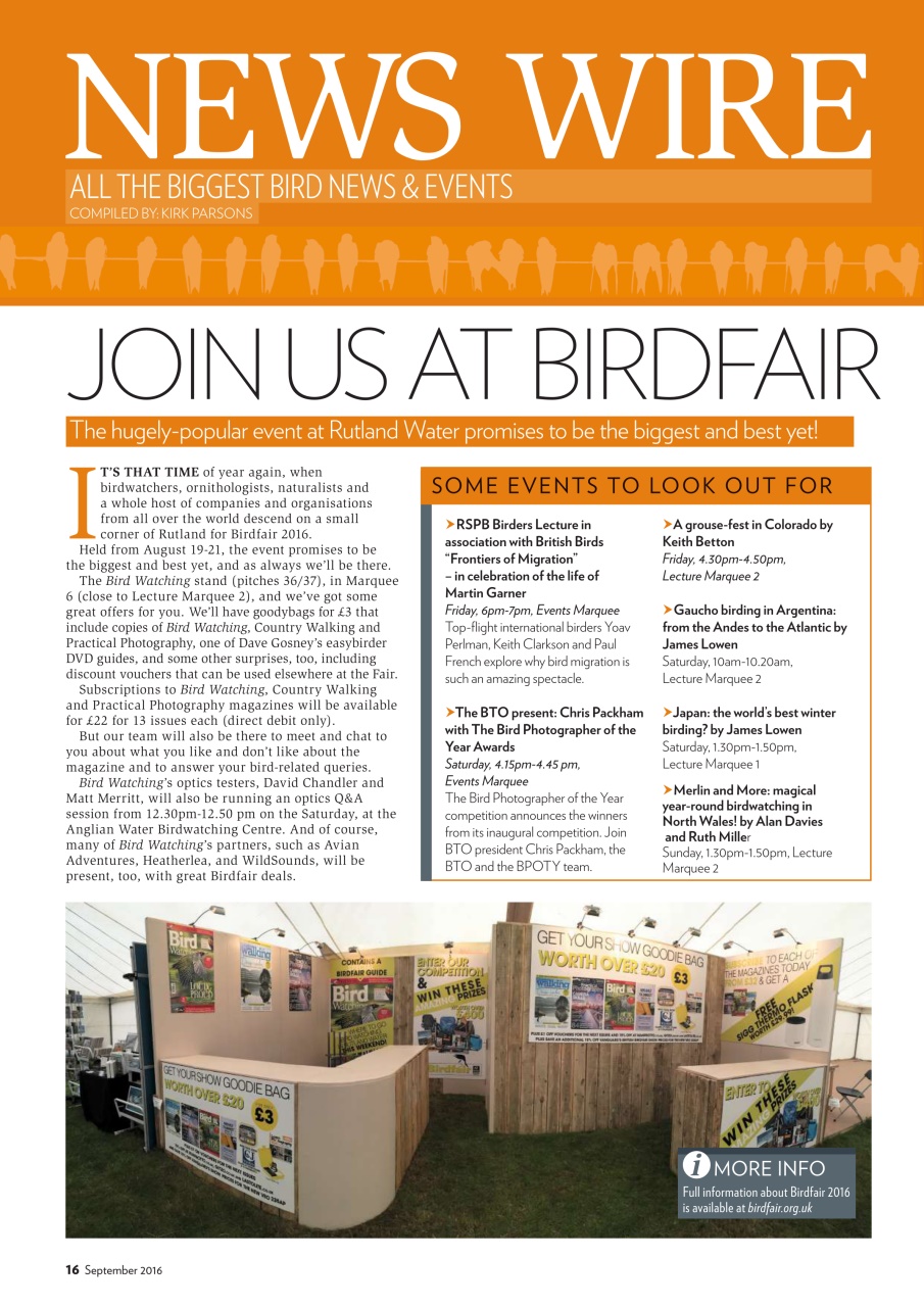 Bird Watching Preview Pages