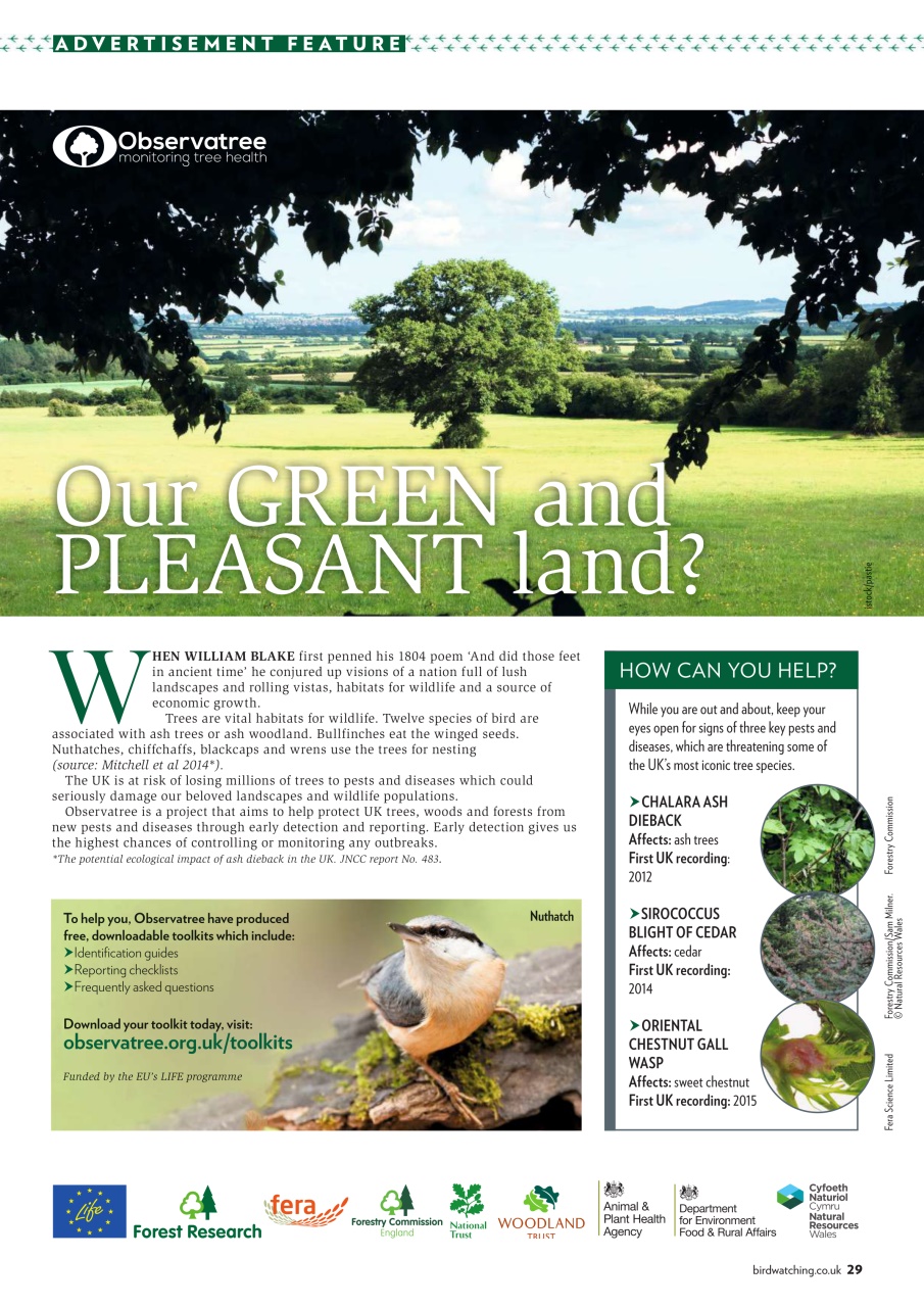 Bird Watching Preview Pages