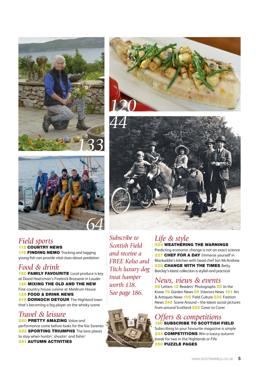 Scottish Field Preview Pages