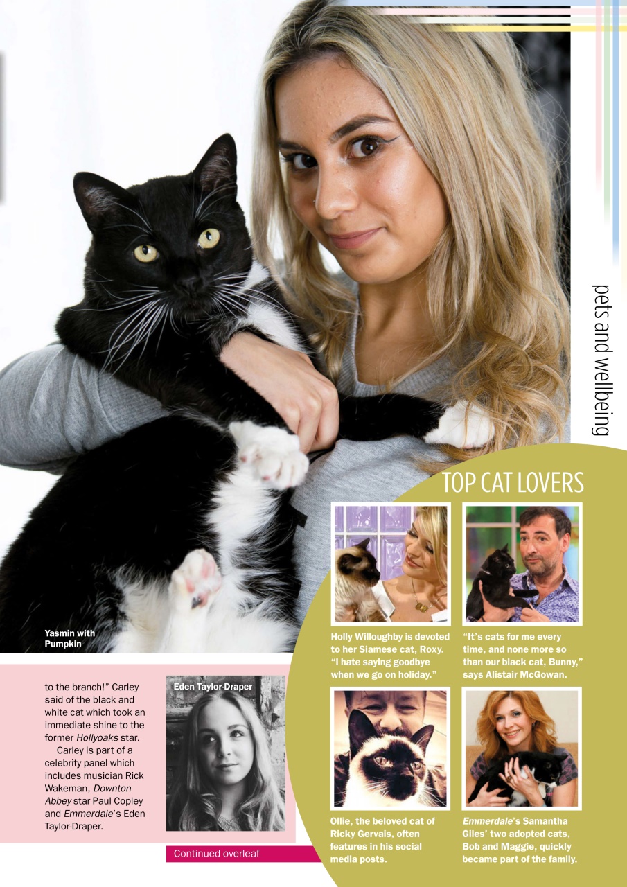 My Weekly Special Preview Pages