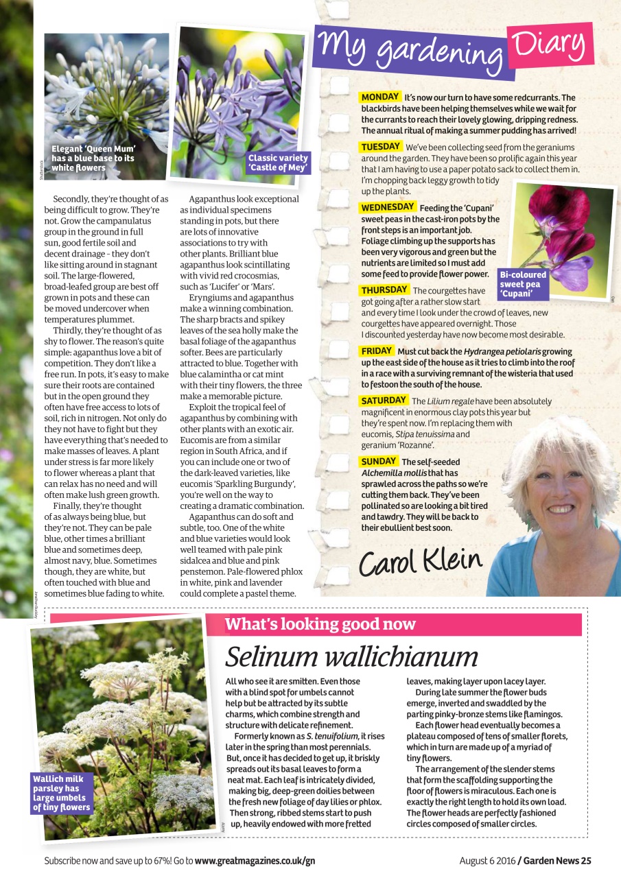 Garden News Preview Pages