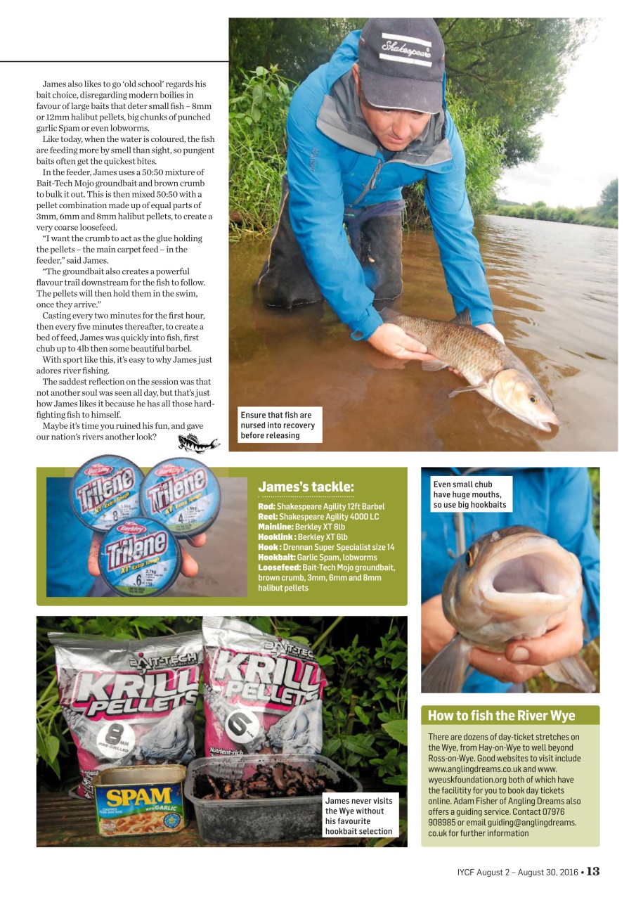 Improve Your Coarse Fishing Preview Pages