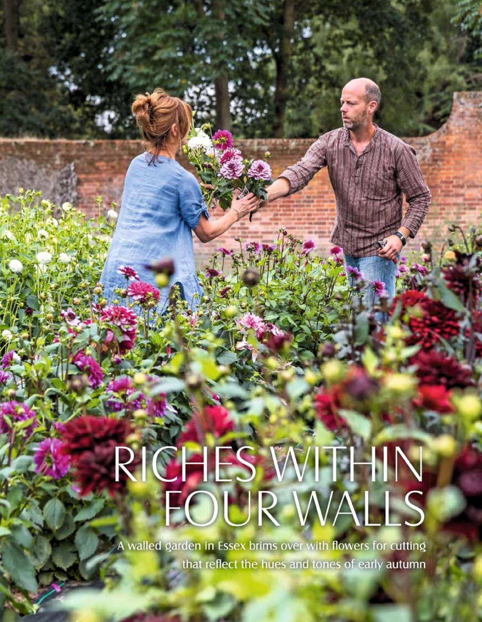 LandScape Preview Pages