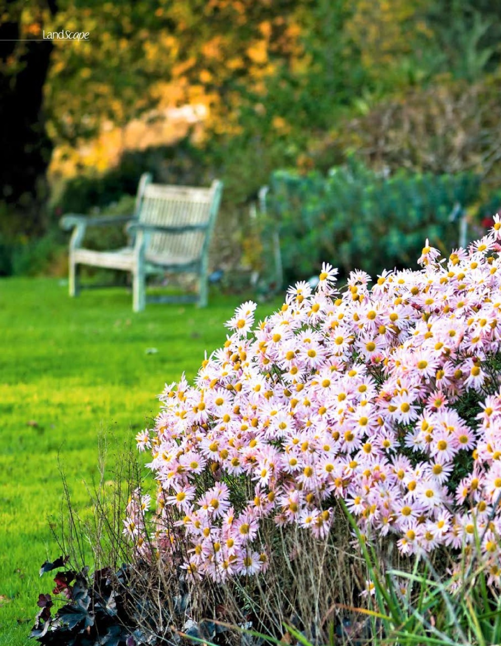 LandScape Preview Pages