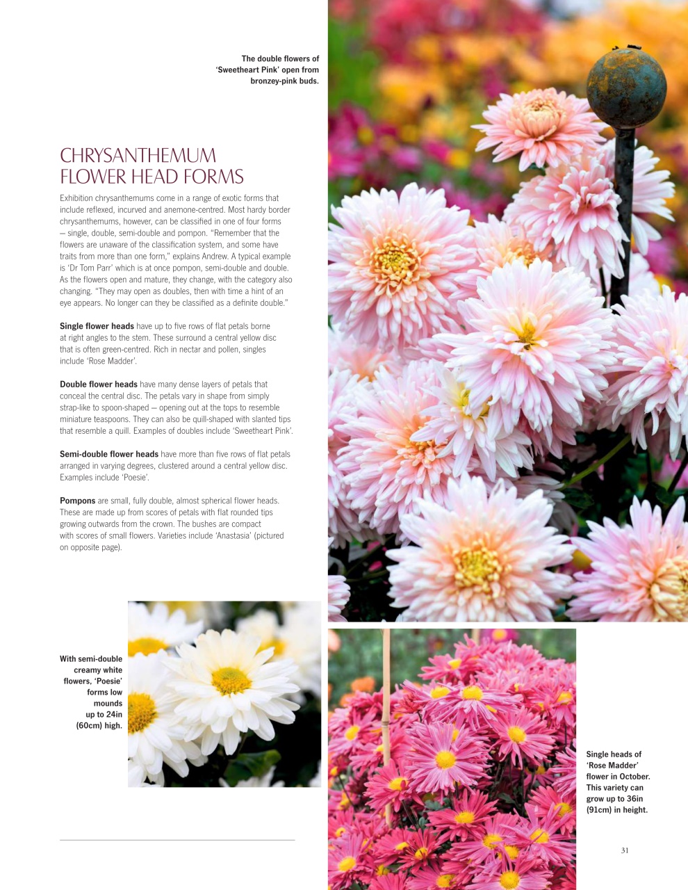 LandScape Preview Pages