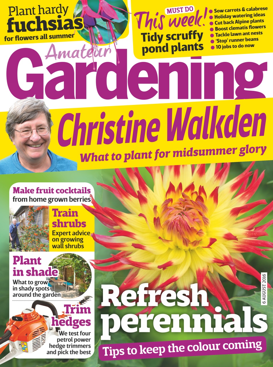 Amateur Gardening Preview Pages