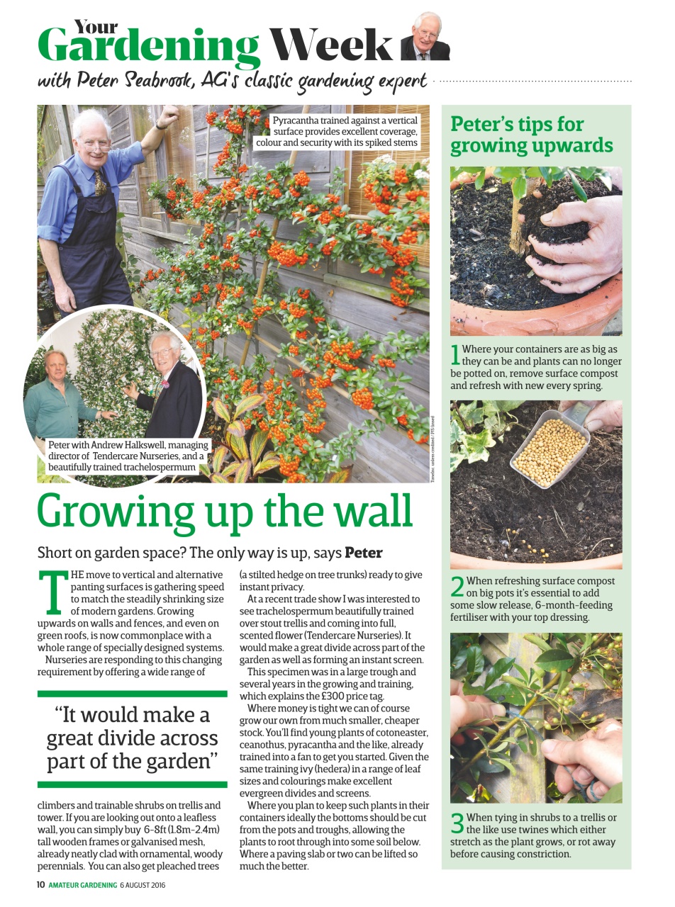Amateur Gardening Preview Pages