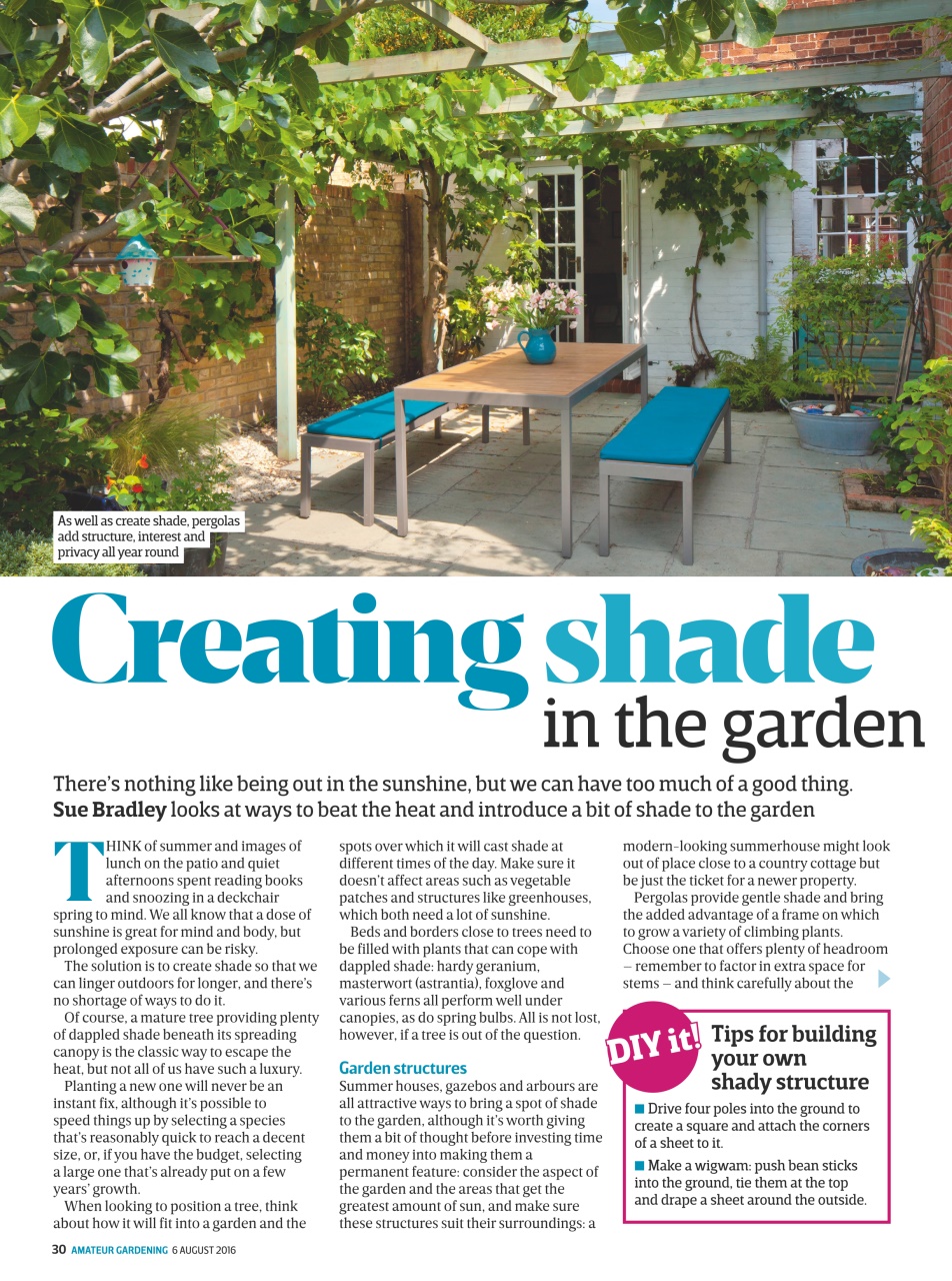 Amateur Gardening Preview Pages