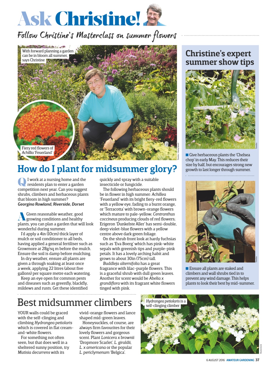 Amateur Gardening Preview Pages