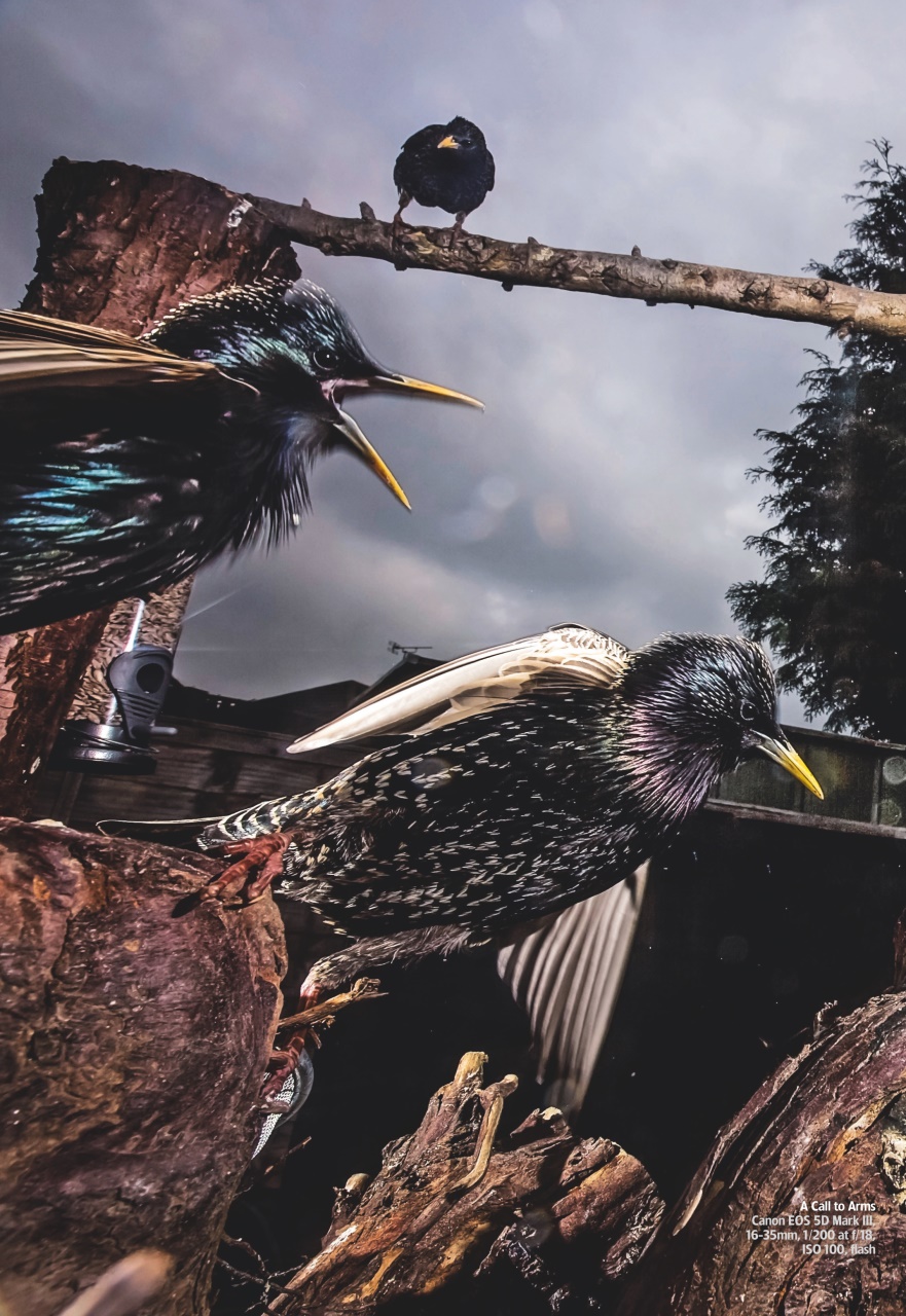 Amateur Photographer Preview Pages