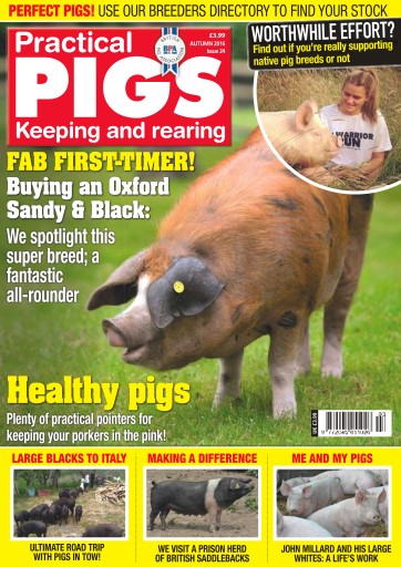 Practical Pigs issue 