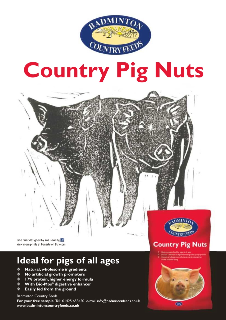 Practical Pigs Preview Pages
