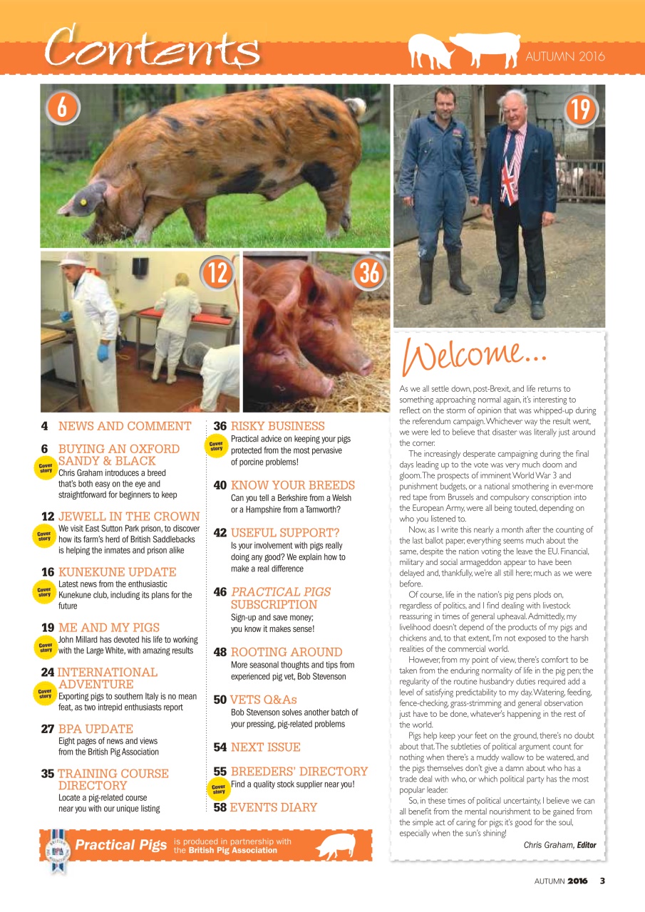 Practical Pigs Preview Pages