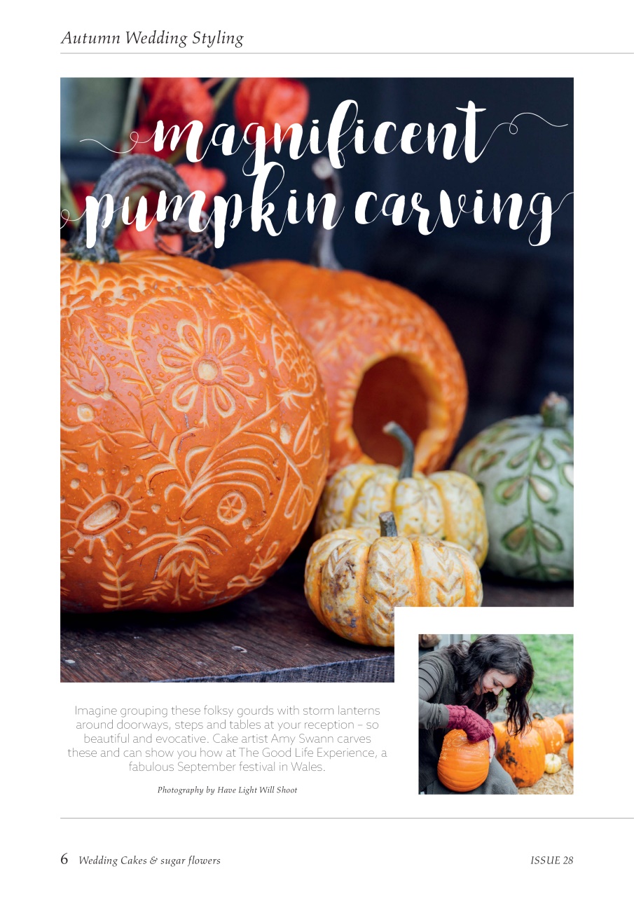 Cake Craft Guides Preview Pages