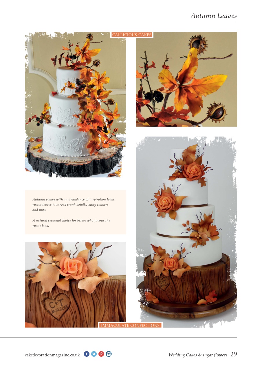 Cake Craft Guides Preview Pages