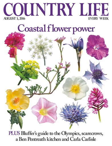 Country Life issue 