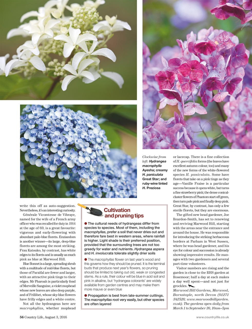 Country Life Preview Pages