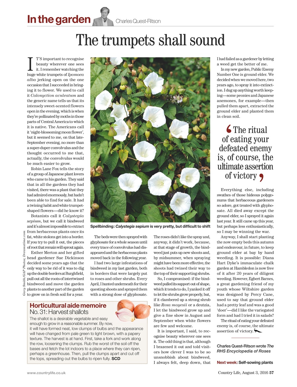 Country Life Preview Pages