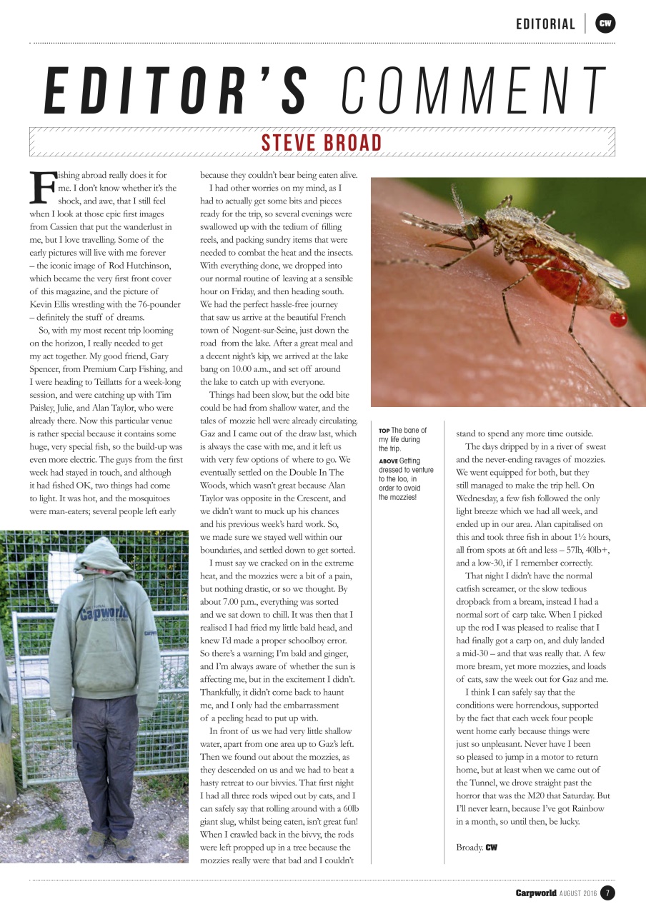 Carpworld Preview Pages