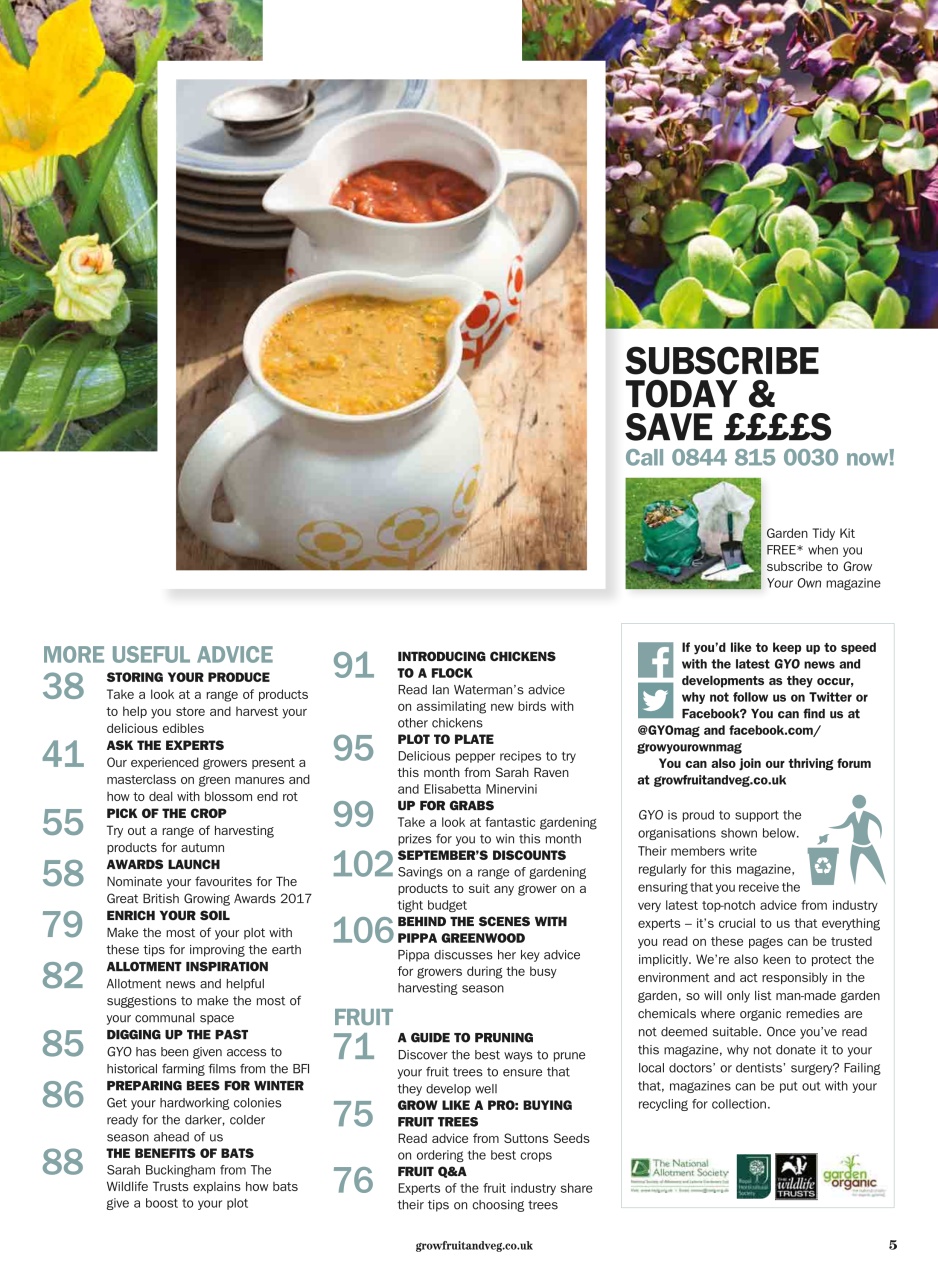 Grow Your Own Preview Pages