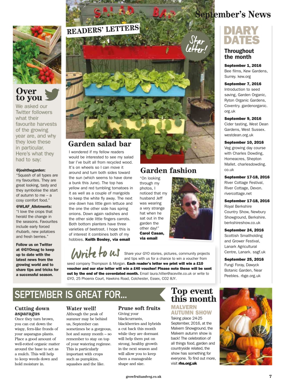 Grow Your Own Preview Pages