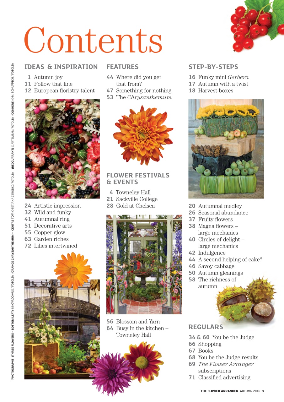 The Flower Arranger Preview Pages