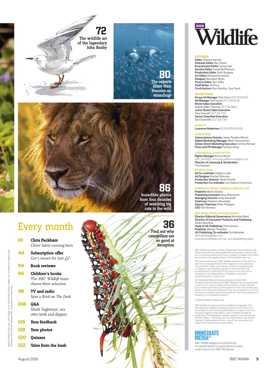 BBC Wildlife Magazine Preview Pages