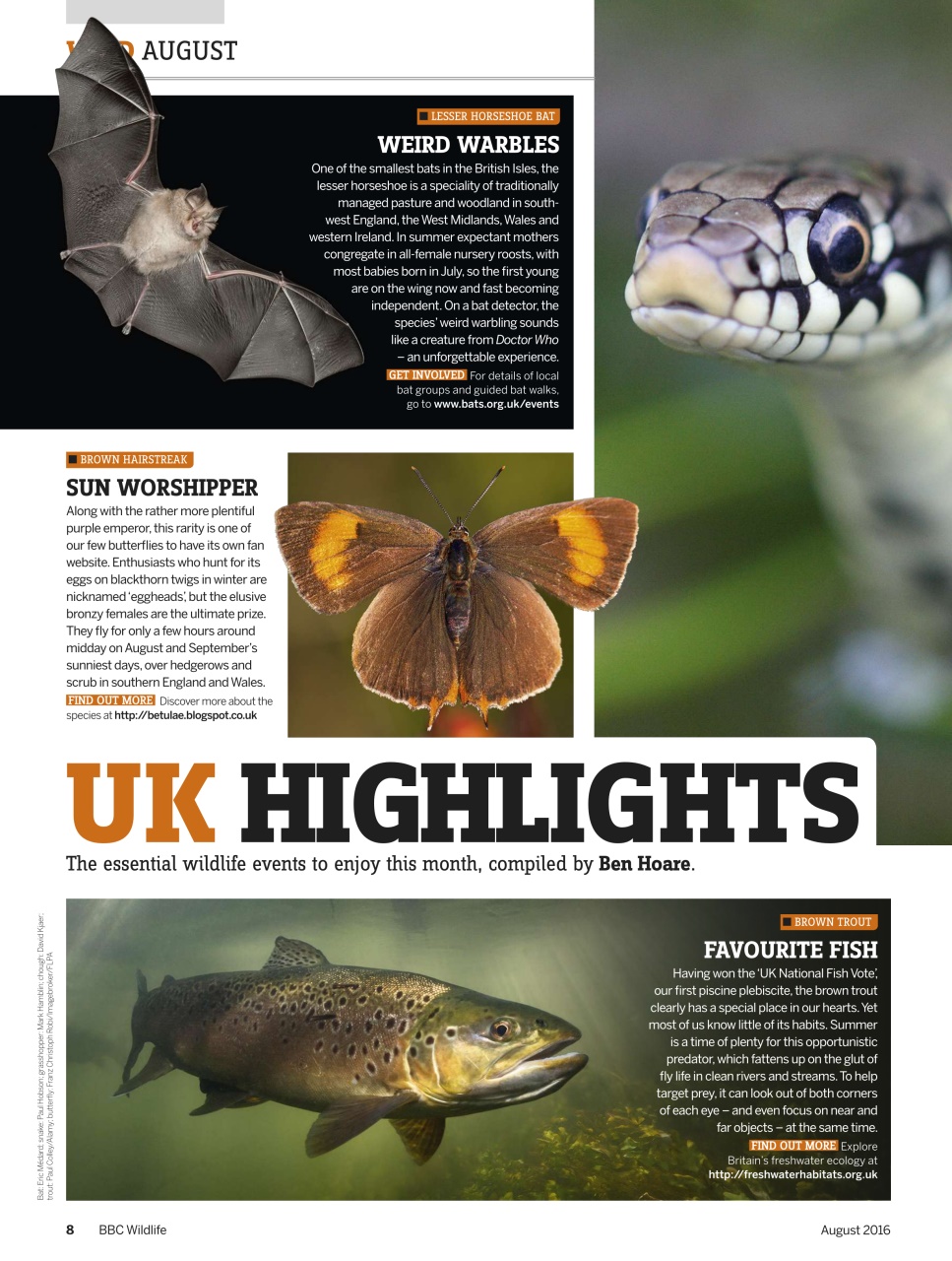 BBC Wildlife Magazine Preview Pages
