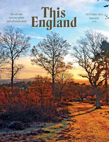 This England issue Autumn 2016