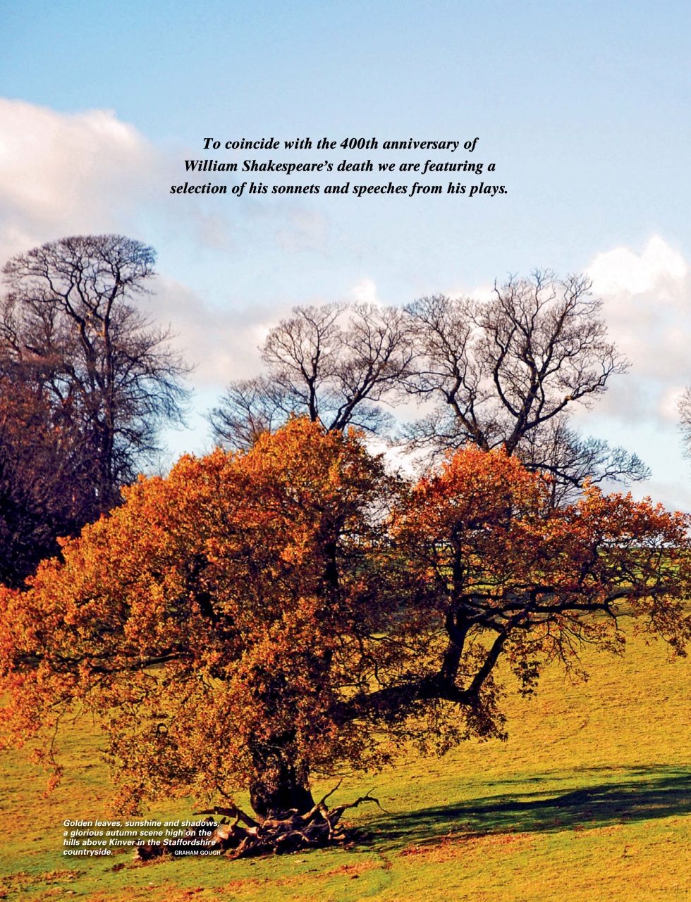 This England Preview Pages