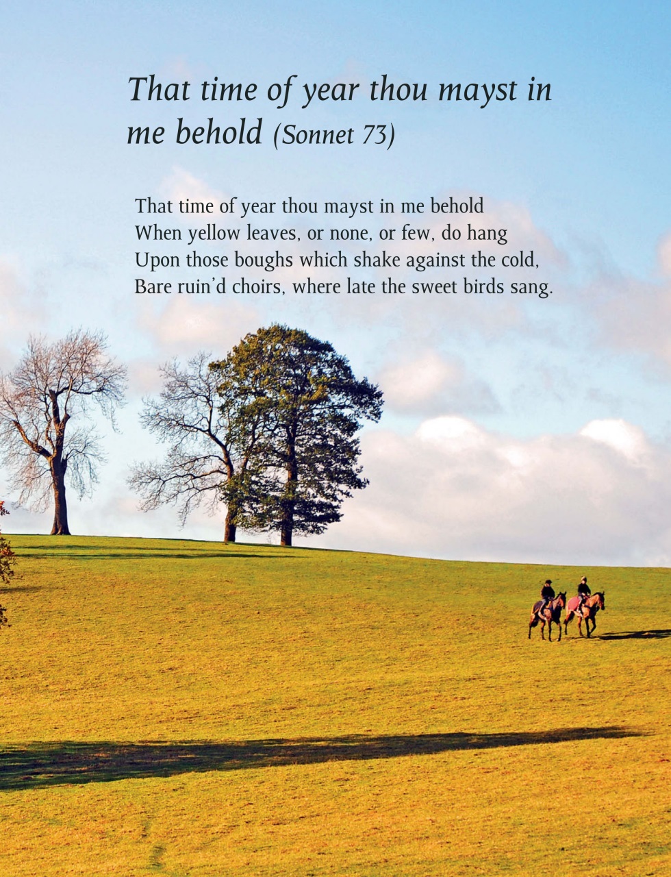 This England Preview Pages