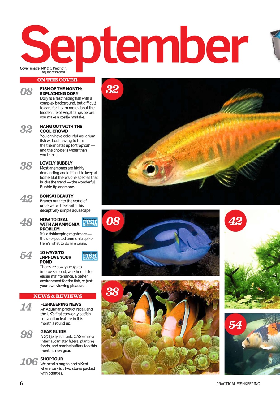 Practical Fishkeeping Preview Pages