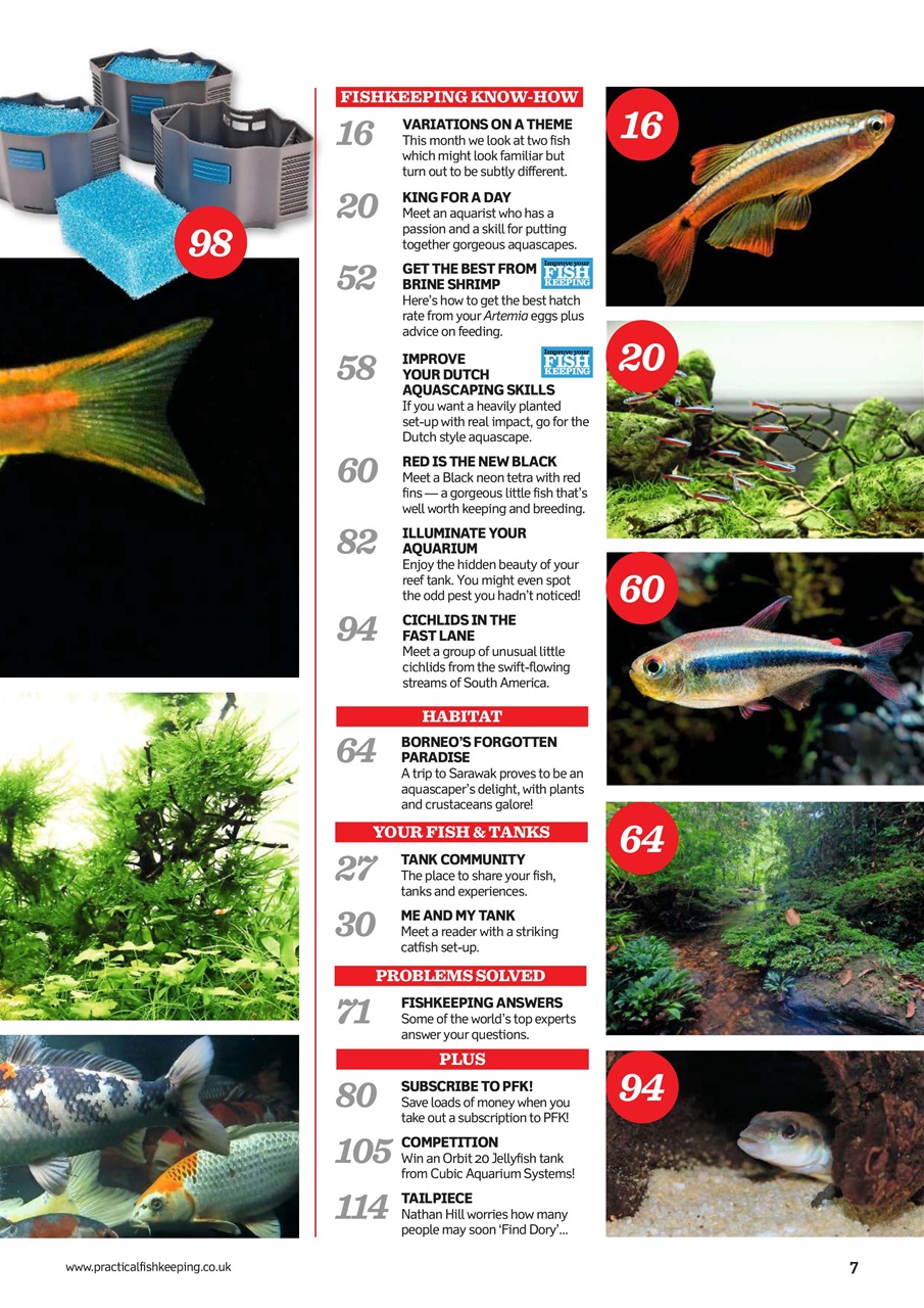 Practical Fishkeeping Preview Pages