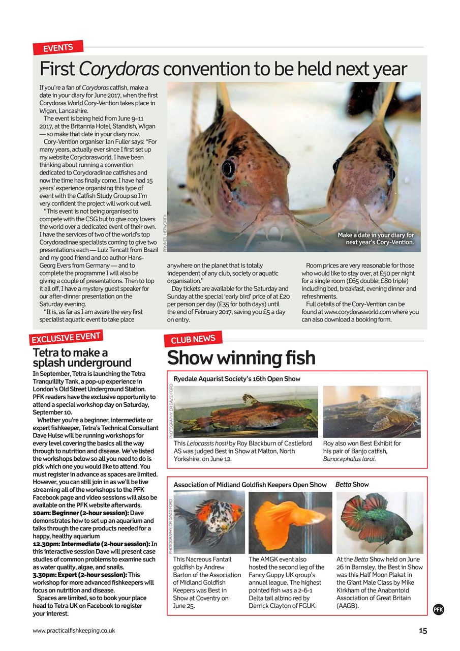 Practical Fishkeeping Preview Pages