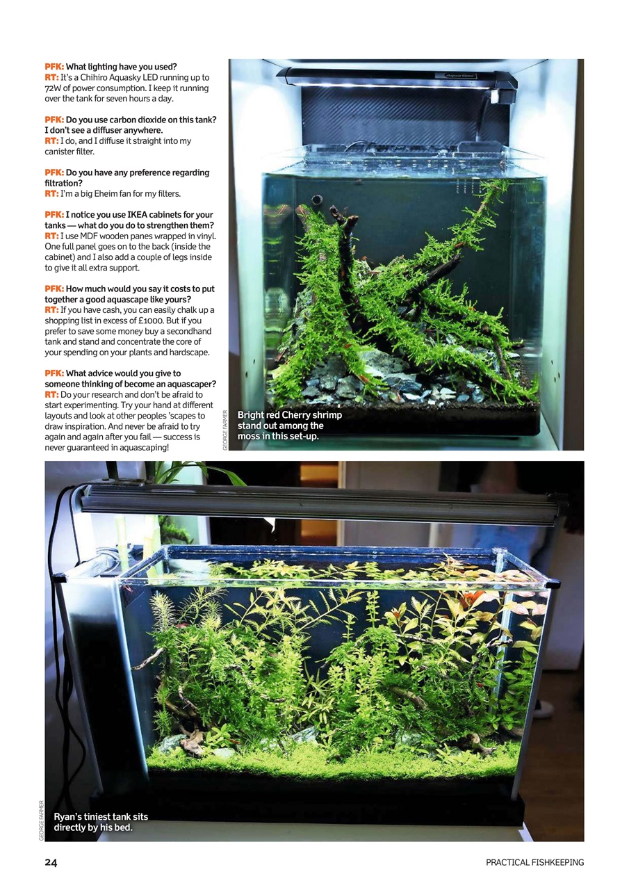 Practical Fishkeeping Preview Pages