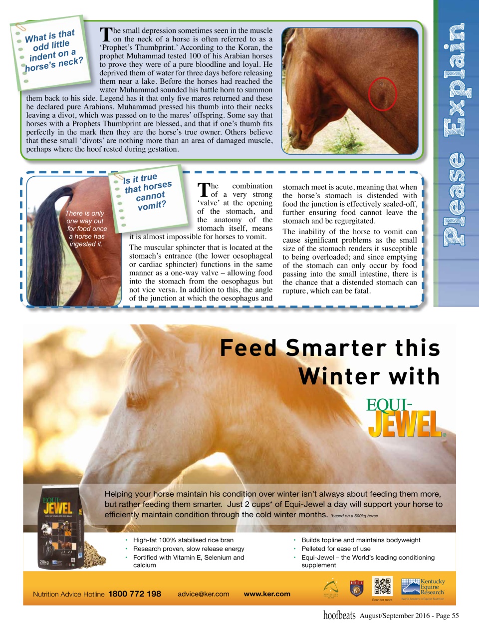 Hoofbeats Preview Pages