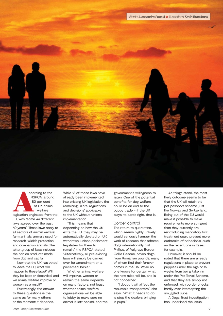 Dogs Today Magazine Preview Pages