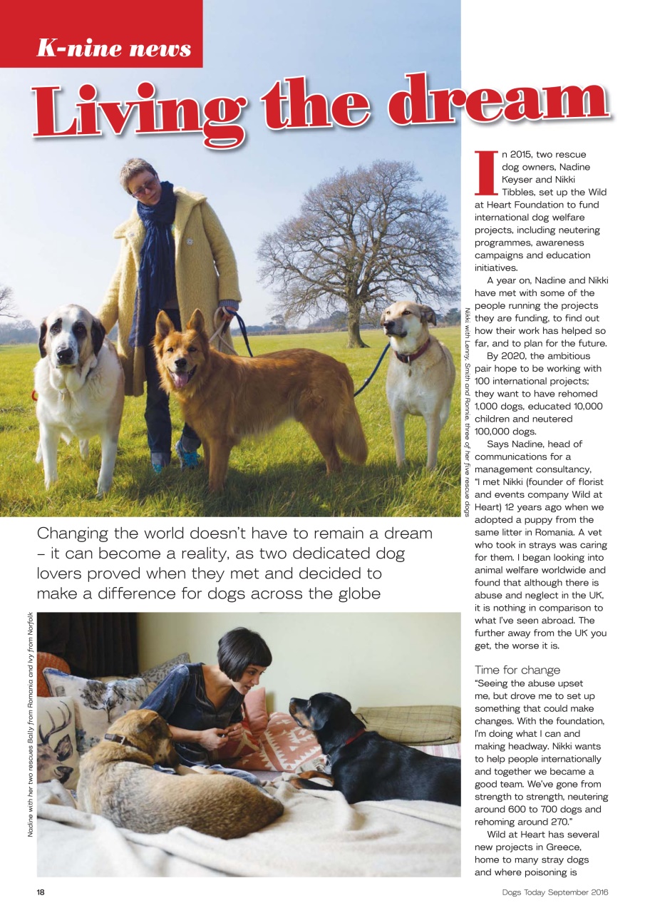 Dogs Today Magazine Preview Pages