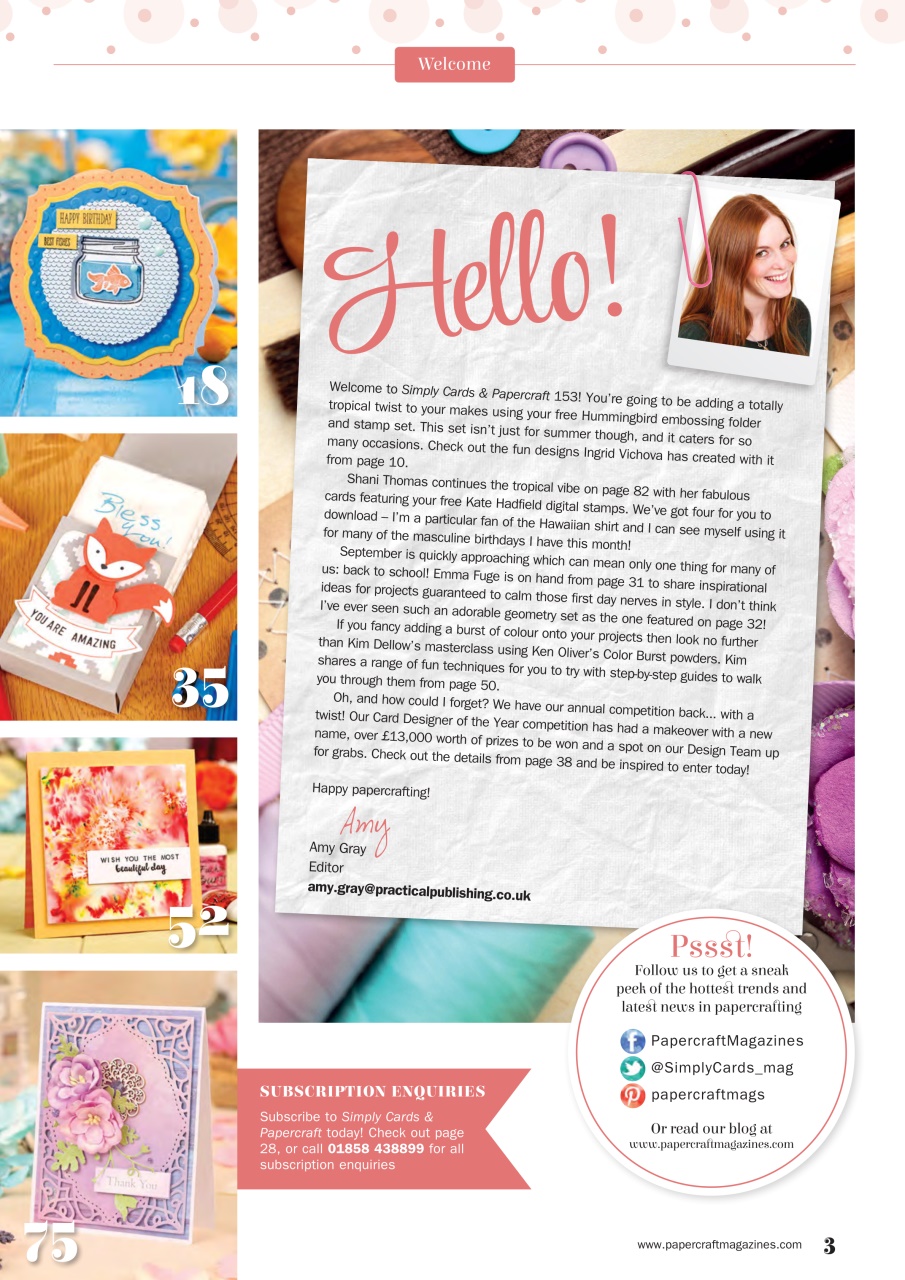 Simply Cards & Papercraft Preview Pages