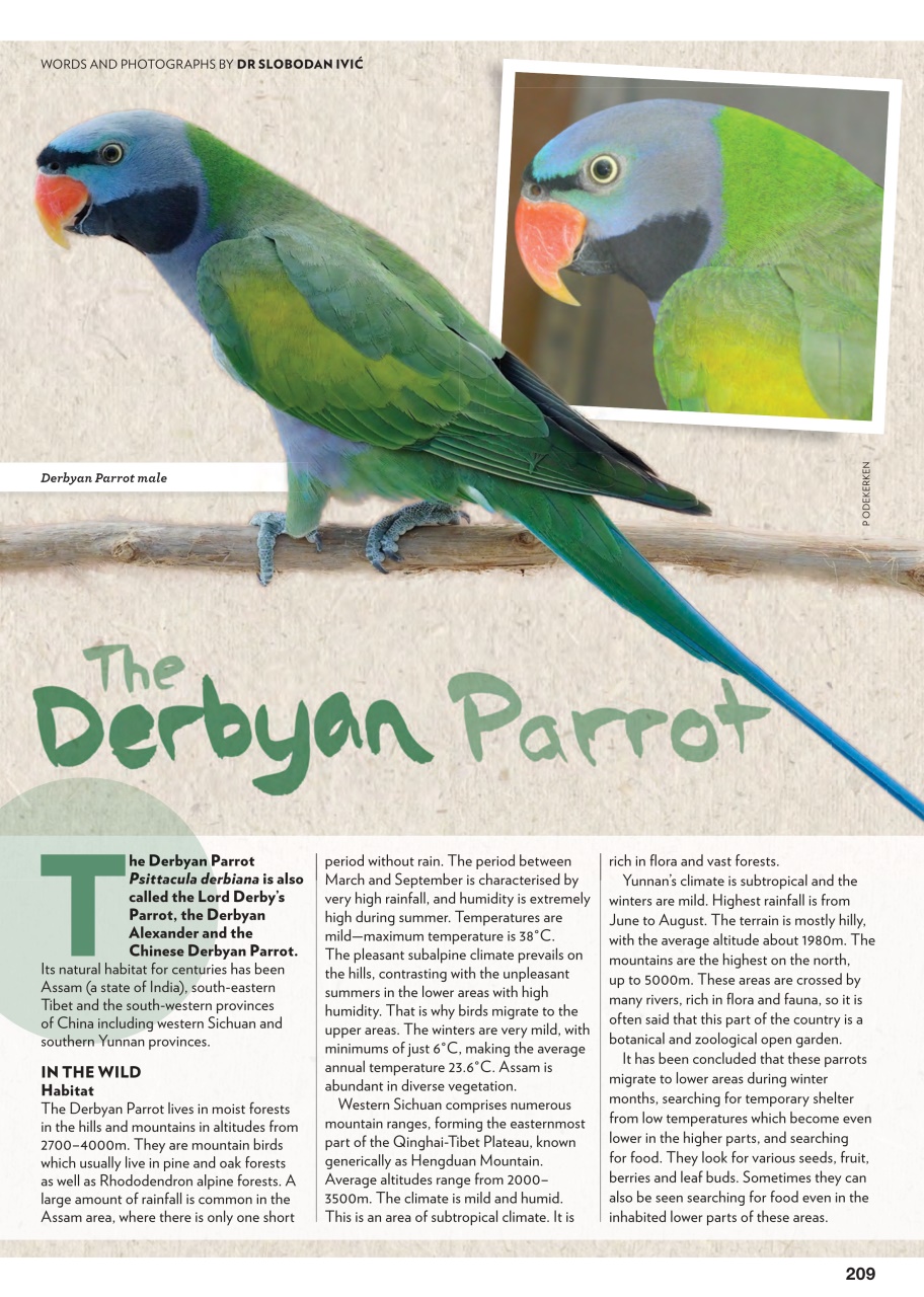 Australian Birdkeeper Magazine Preview Pages