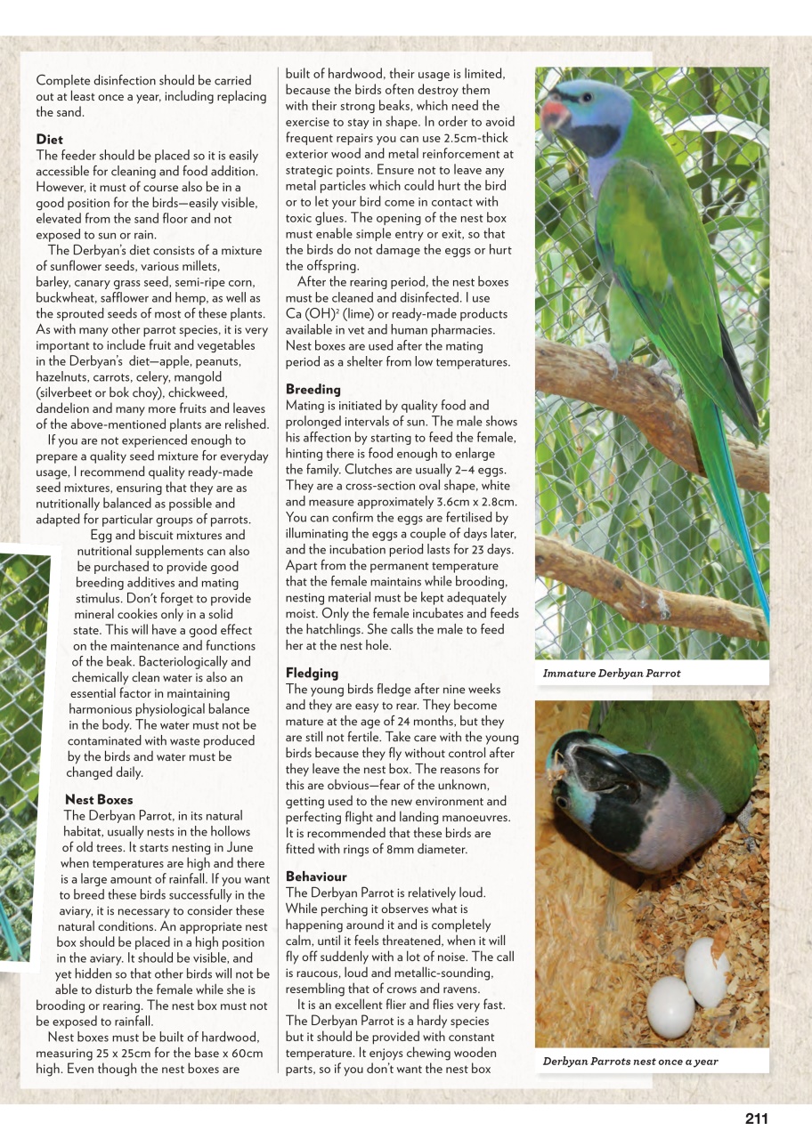 Australian Birdkeeper Magazine Preview Pages