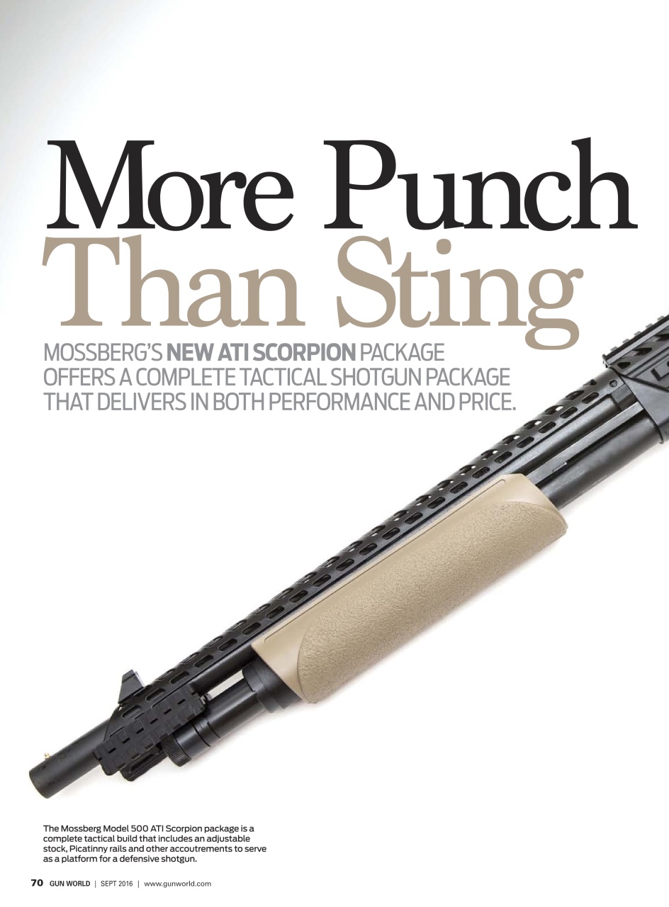 Gun World Preview Pages