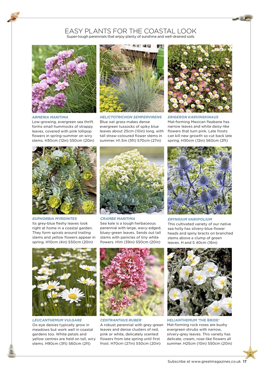 Garden Answers Preview Pages