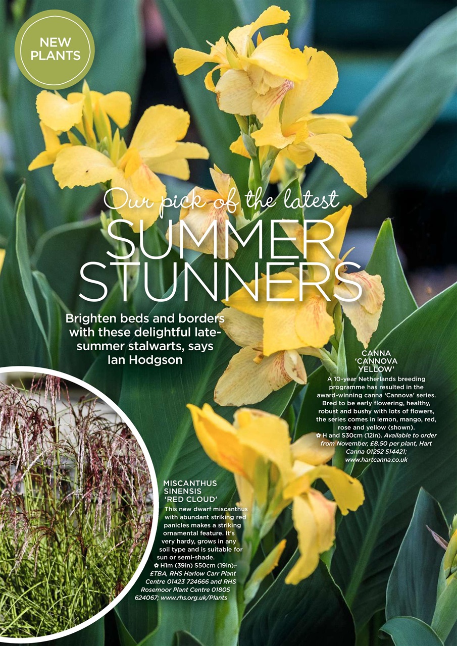 Garden Answers Preview Pages