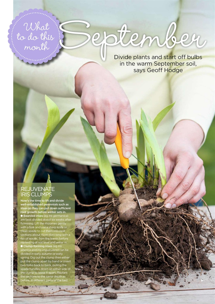 Garden Answers Preview Pages